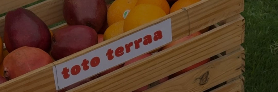 Why Toto Terraa? A Behind-the-Scenes Look at Our Commitment to Quality Kids' Wear